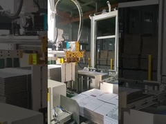 TAEMS robotpalletiser voor karton